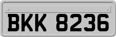 BKK8236