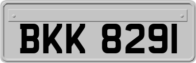 BKK8291