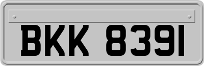 BKK8391