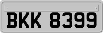 BKK8399