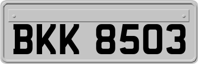 BKK8503