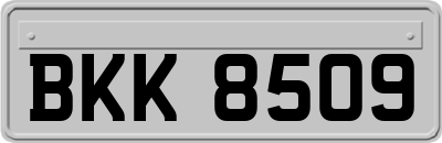 BKK8509