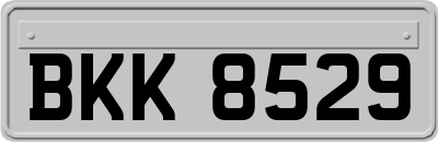 BKK8529