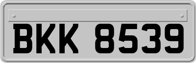 BKK8539