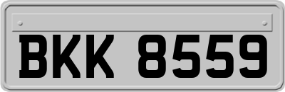 BKK8559