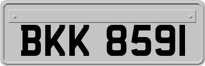BKK8591