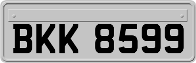 BKK8599