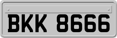 BKK8666