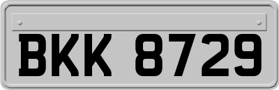 BKK8729