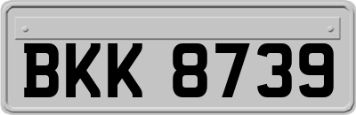 BKK8739