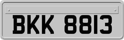 BKK8813