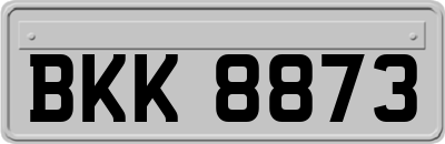BKK8873