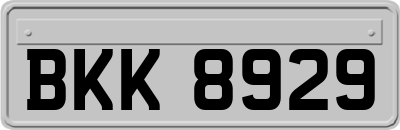 BKK8929