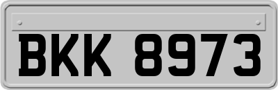 BKK8973