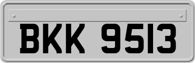 BKK9513