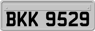 BKK9529