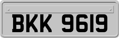 BKK9619