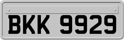 BKK9929
