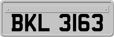 BKL3163