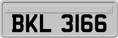 BKL3166