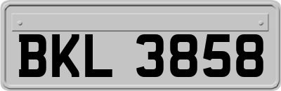 BKL3858