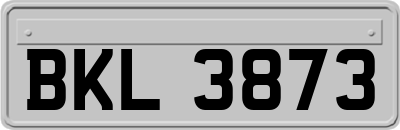 BKL3873
