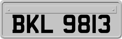 BKL9813