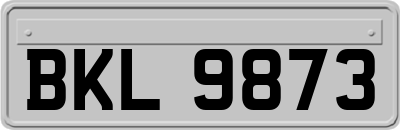 BKL9873