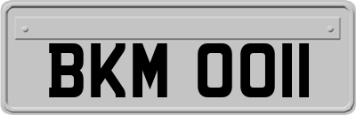 BKM0011