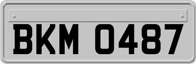 BKM0487