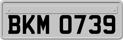 BKM0739