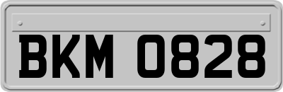 BKM0828