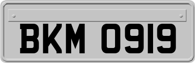 BKM0919