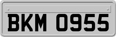 BKM0955