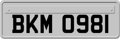 BKM0981