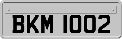 BKM1002