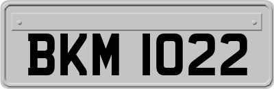 BKM1022
