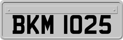 BKM1025