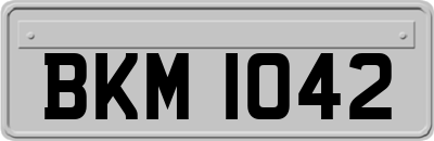 BKM1042
