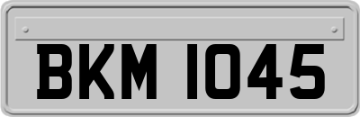 BKM1045