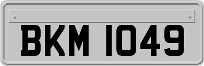 BKM1049
