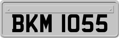 BKM1055