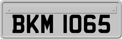 BKM1065