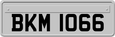 BKM1066