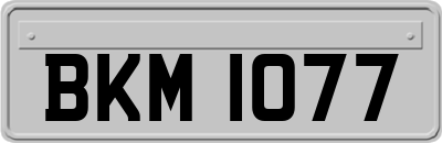 BKM1077