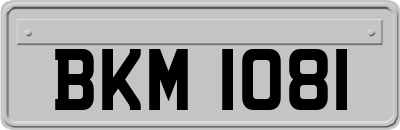 BKM1081