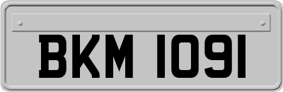 BKM1091