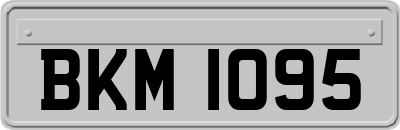 BKM1095