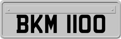 BKM1100