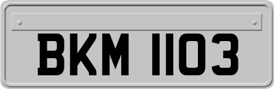 BKM1103